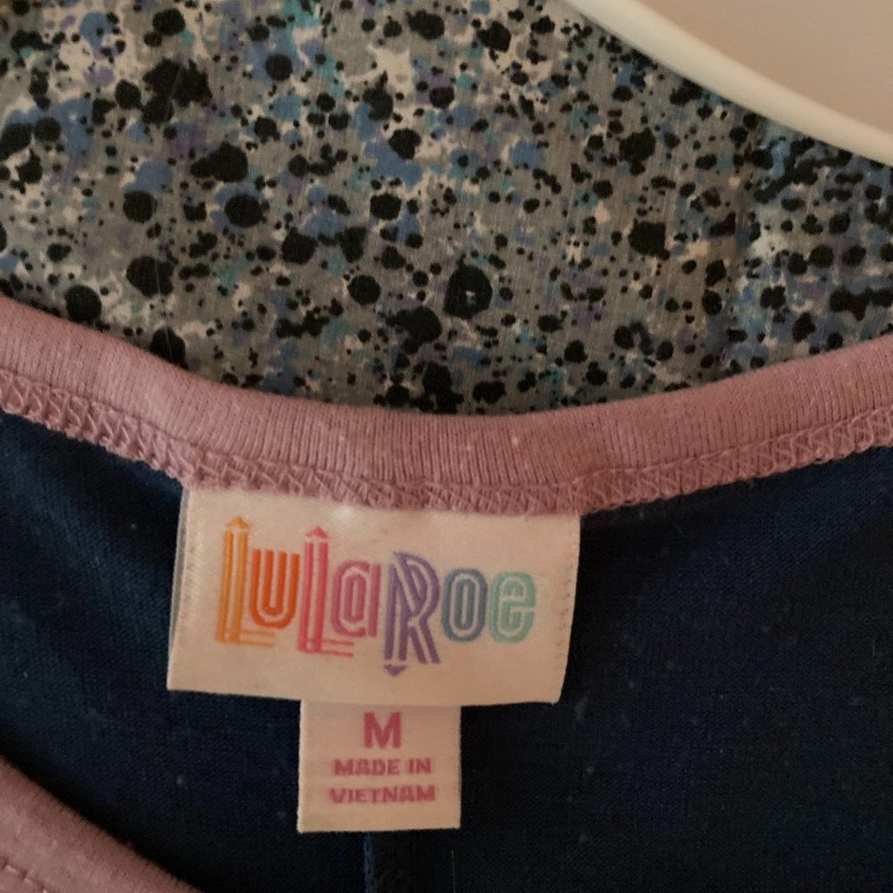 Lularoe Carly Swing dress